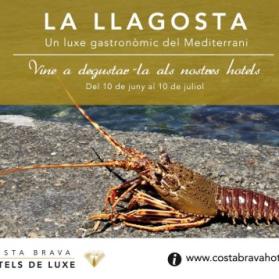 Gastronomic campaign of the Mediterranean spiny lobster 