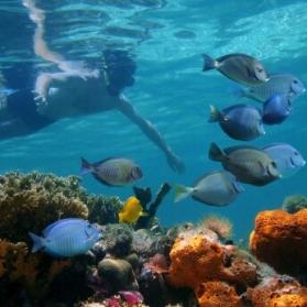 Costa Brava Underwater
