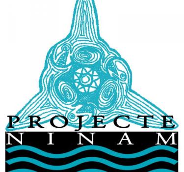 Official sponsors of the NINAM Project