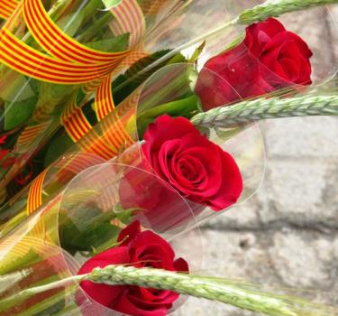 La Diada de Sant-Jordi – La Saint-George