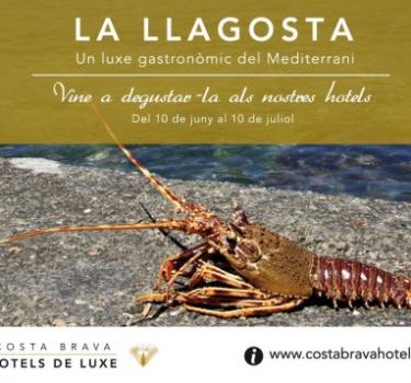 Gastronomic campaign of the Mediterranean spiny lobster