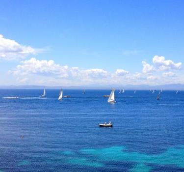 Ein herrlicher Samstag zum Segeln!
