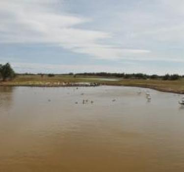 The Aiguamolls of Empordà: a must see for the lover of nature and birds